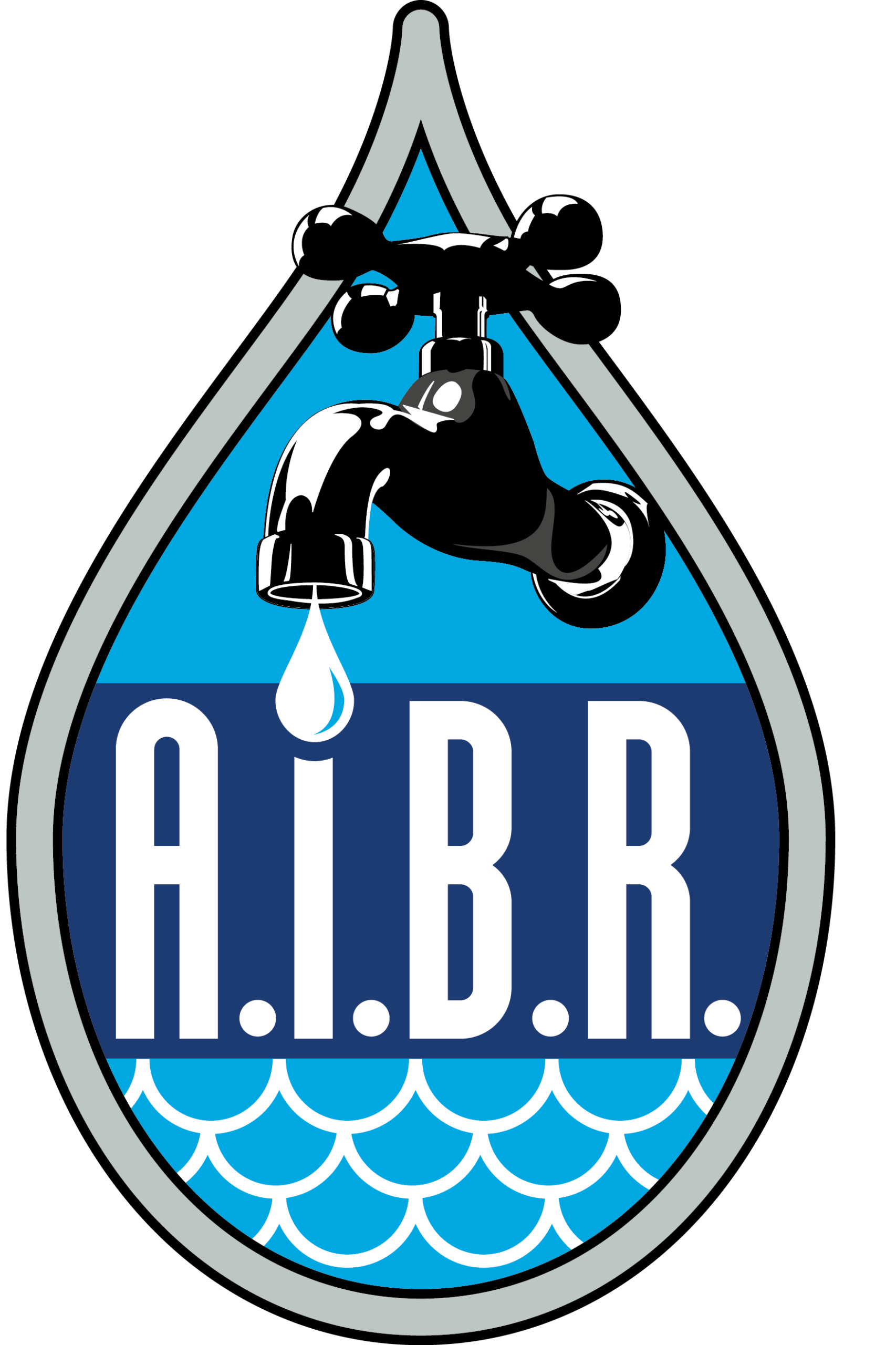 AIBR Logo